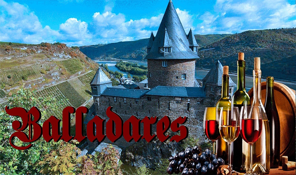 Material publicitario diseñado por Pucusoft