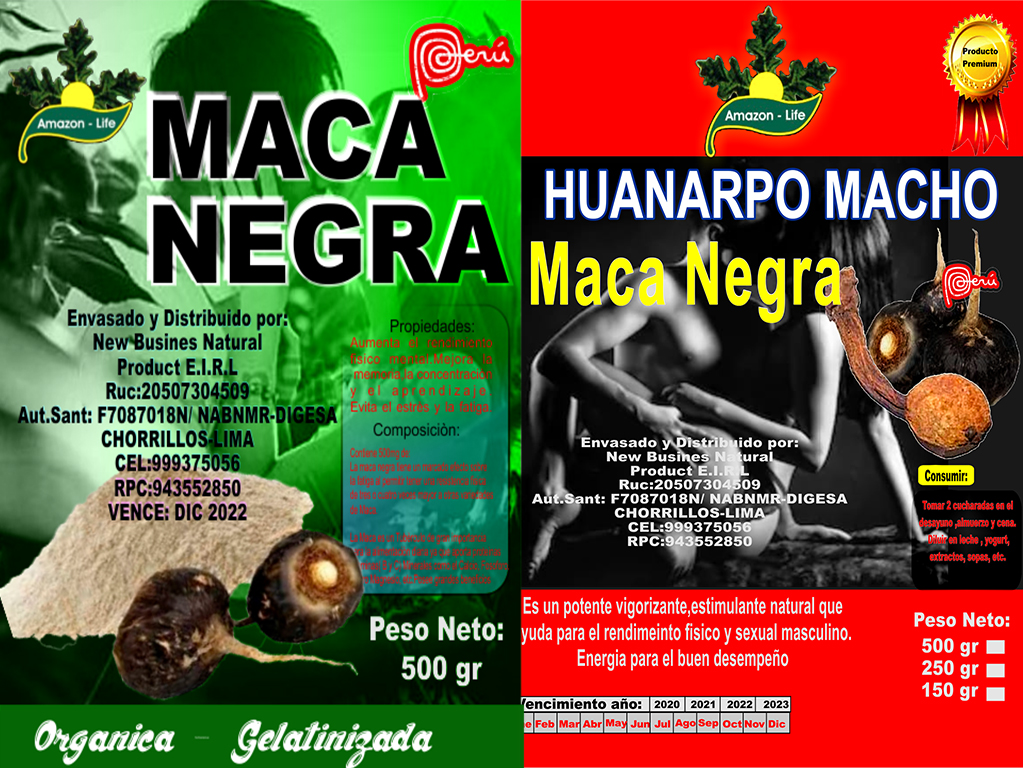 Diseño de branding creado por Pucusoft